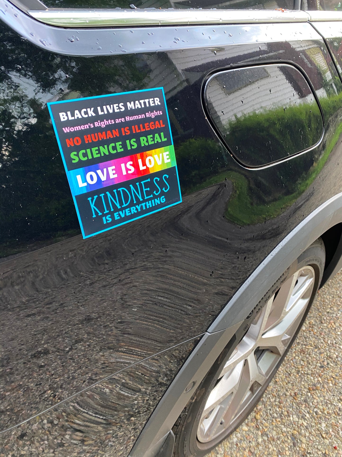 Inclusion Magnet