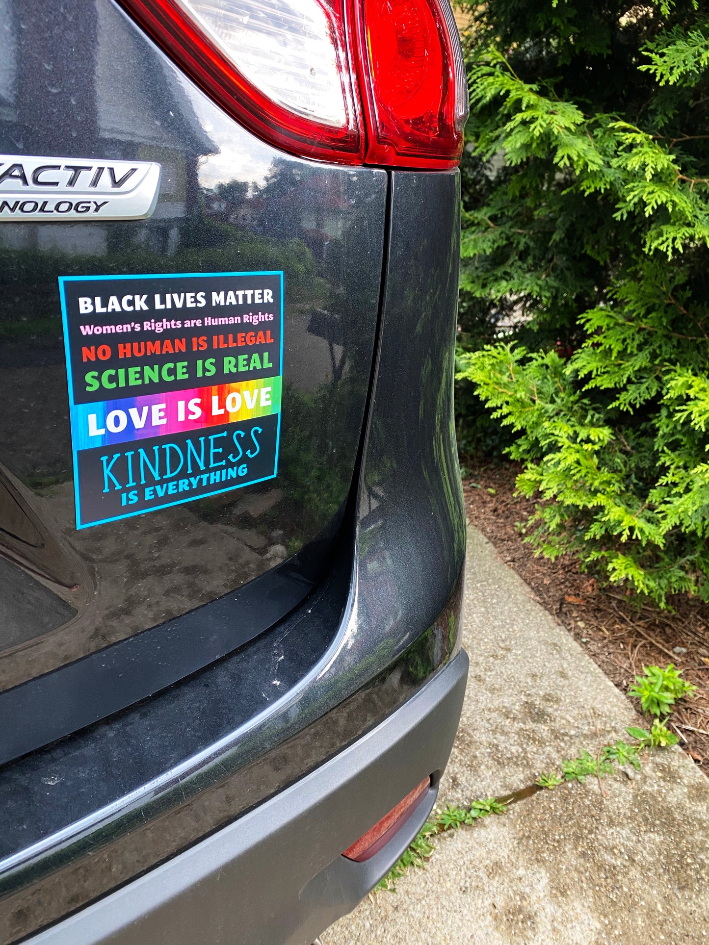Inclusion Magnet